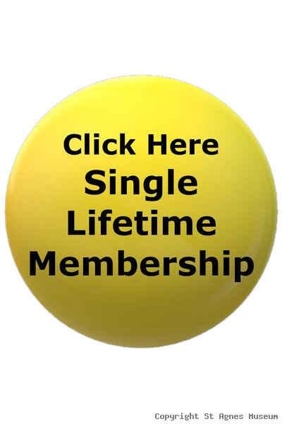 Lifetime Membership product photo